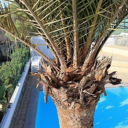 Bello Horizonte San Agustín エクステリア 写真